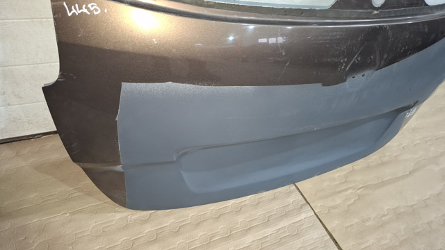 901006104R RENAULT Дверь задняя (багажная 3/5-я (ляда) купить в Ужгород