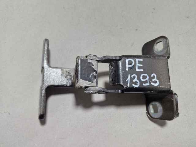 904000869R Петля двери задней (распашной)  купить Николаев