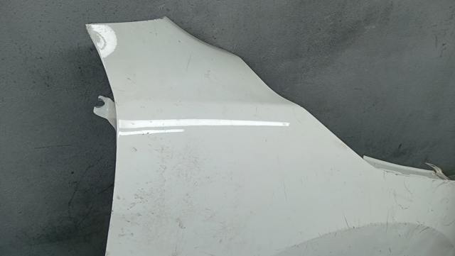 NISSAN F31004EAMB Крыло переднее правое в наличии Кривой Рог