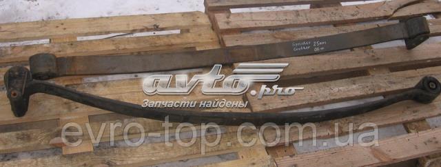 9063201806 MERCEDES Рессора задняя купить в Ирпень