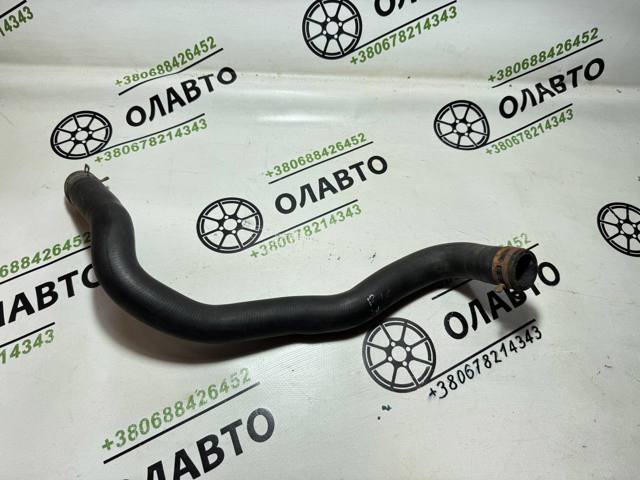 21503BM505 Нижний шлаг радиатора охлаждения купить Павлоград