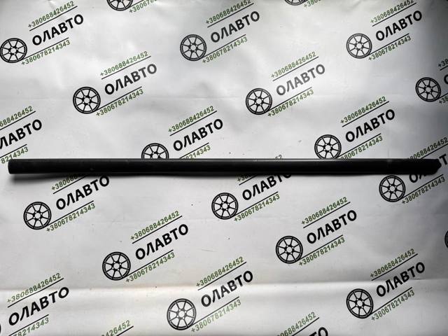 Молдинг передней правой двери 808702F000 NISSAN