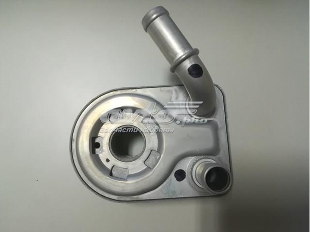 1925463 FORD Радиатор масляный купить в Ровно