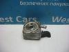 Радиатор масляный холодильник 028117021L VAG