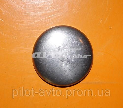 6198559 FORD Заглушка ГБЦ/блока цилиндров купить в Запорожье