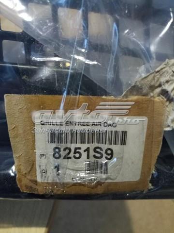 8251S9 PEUGEOT Водосток лобового стекла, жабо купить в Черновцы