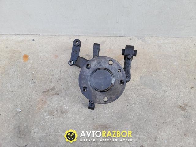 Ступица задняя (шпиндель) 1T0598611B VAG