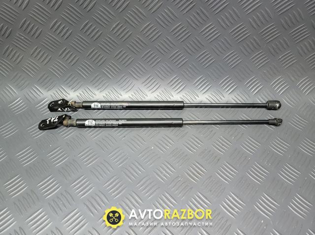 TOYOTA 6896009100 Амортизатор багажника в наличии Хмельницкий
