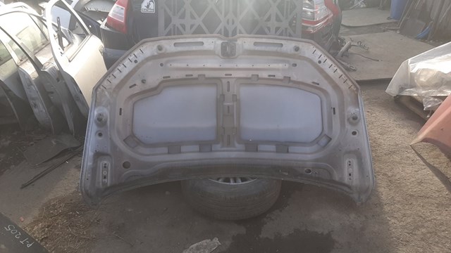 Капот 5TA823031E VAG