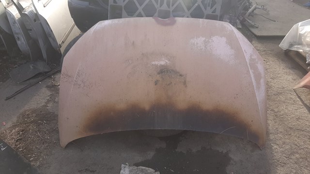 5TA823031E VAG Капот купить в Кривой Рог