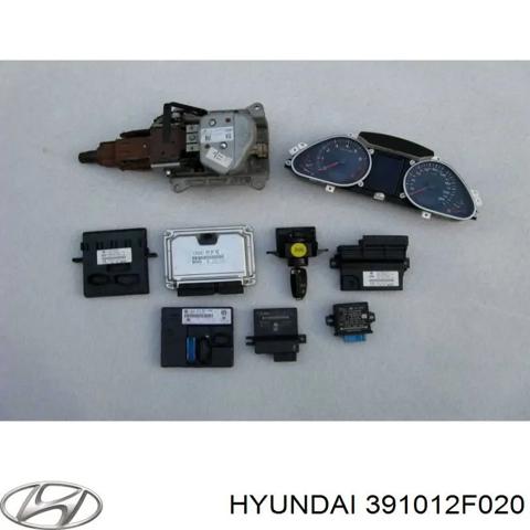 Мозги двигателя 391012F020 HYUNDAI