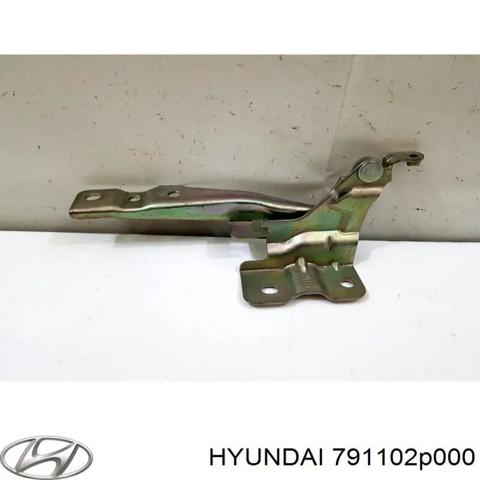 Левая петля капота 791102P000 HYUNDAI