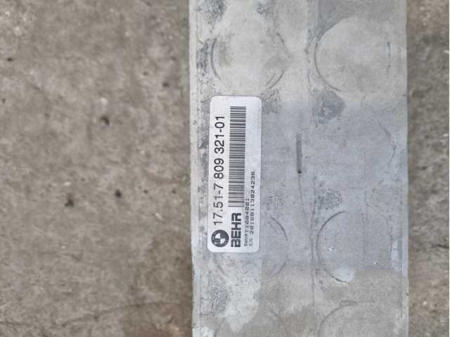 17517809321 BMW Интеркулер купить в Днепр