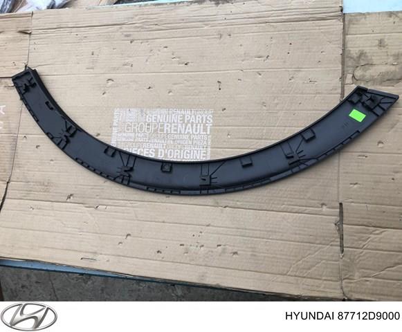 HYUNDAI 87712D9000 Расширитель (накладка) арки переднего крыла левый в наличии Тернополь