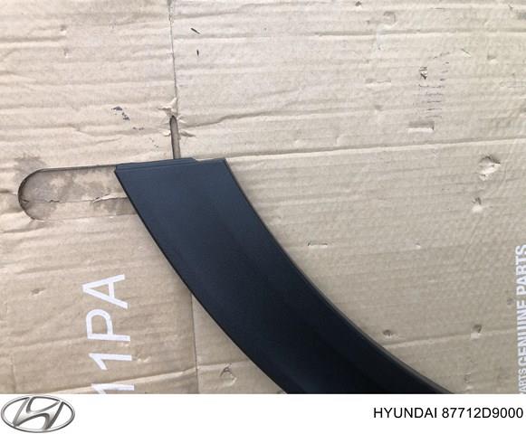 HYUNDAI 87712D9000 Расширитель (накладка) арки переднего крыла левый в наличии Черновцы