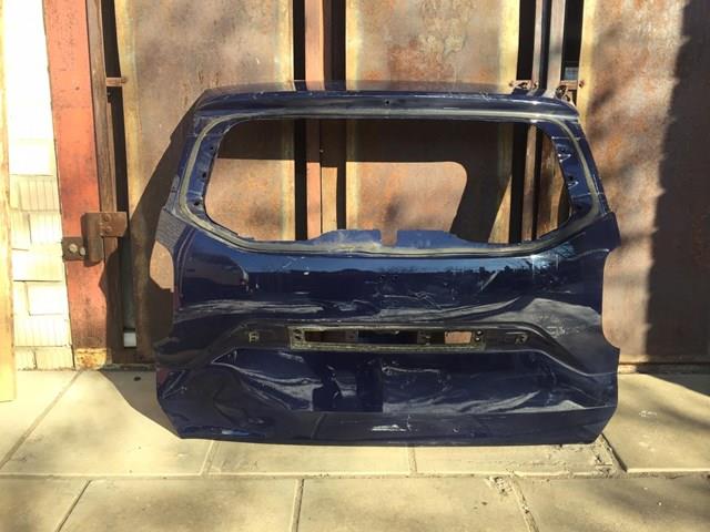 Задняя дверь 901007619R RENAULT
