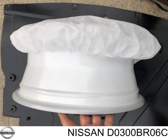 D0300BR06C купить Полтава