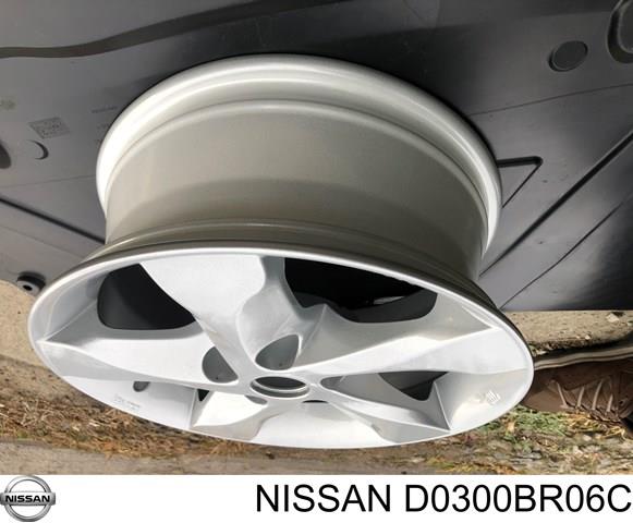 D0300BR06C NISSAN купить в Черновцы