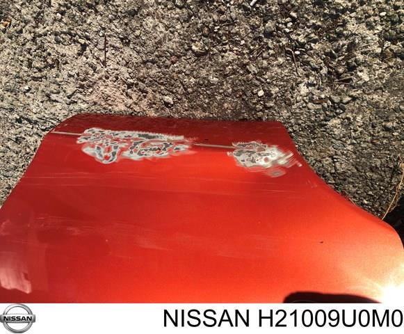 H21009U0M0 Дверь задняя правая купить Полтава