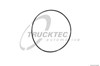  Прокладка впускного коллектора 0216048 TRUCKTEC