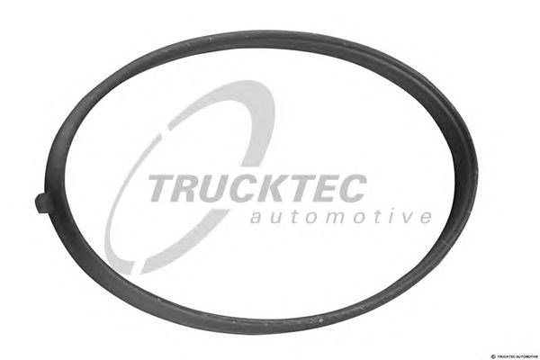 Прокладка впускного колектора, верхня 0216055 Trucktec