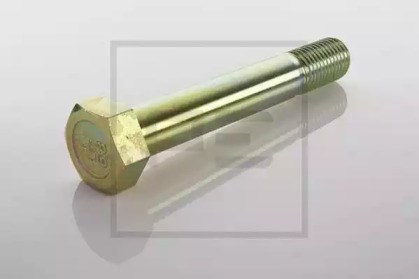 Палец серьги задней рессоры 04403400A PE AUTOMOTIVE