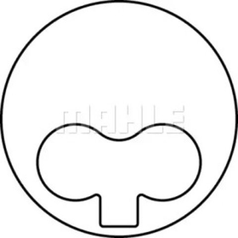 Гильза поршневая 213LW00100001 MAHLE
