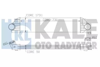 345035 Kale