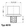Термостат отключающий клапан 461980 WAHLER