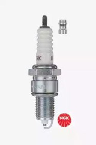 5411 NGK Свеча зажигания купить в Ужгород