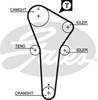 Ремень двигателя 5421XS GATES