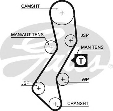 ГРМ ремни 5451XS GATES
