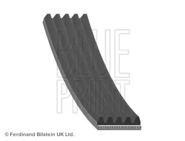Поликлиновый ремень AD05R855 BLUE PRINT