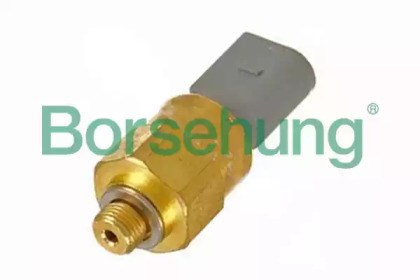 B13135 Borsehung