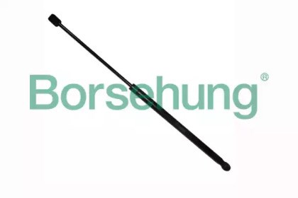 B14201 Borsehung