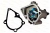 Насос водяной D10524TT THERMOTEC