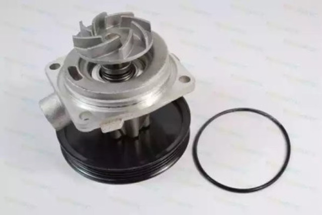 Помпа водяная, корпус D1F065TT THERMOTEC