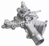 Насос водяной D1X046TT THERMOTEC