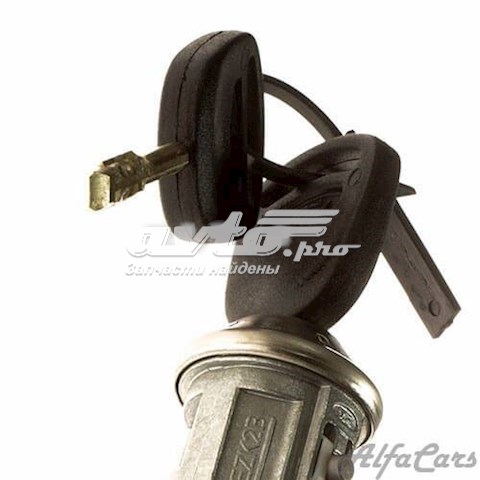 DP482 DP GROUP Личинка замка зажигания купить в Николаев