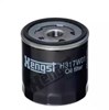 Фильтр масла H317W01 HENGST