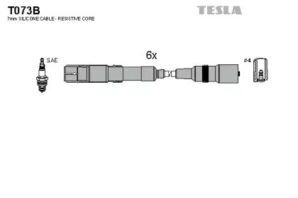 T073B Tesla