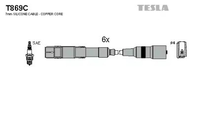 T869C Tesla