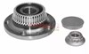 Ступица заднего колеса WM1055 METZGER