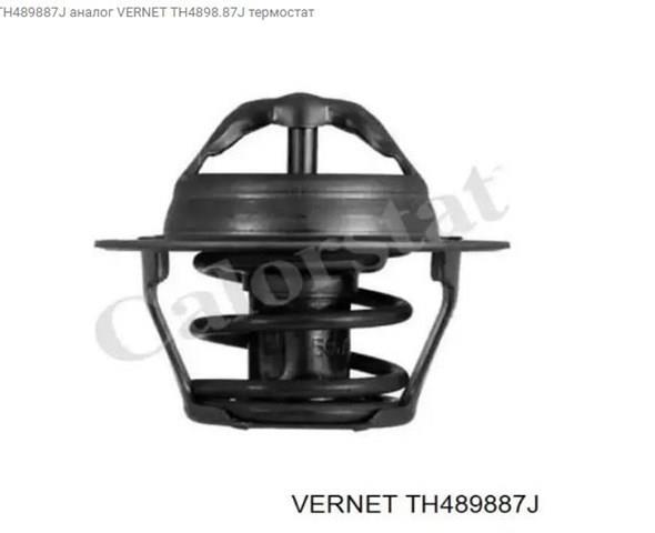 VERNET TH489887J Термостат в наличии Одесса