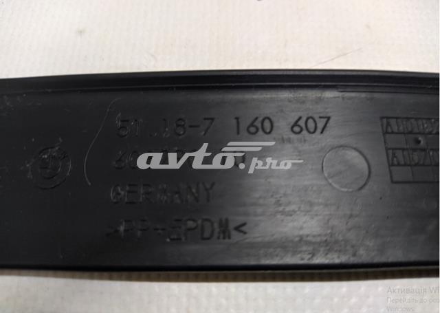 BMW 51187160607 Панель крепления номерного знака заднего в наличии Черновцы