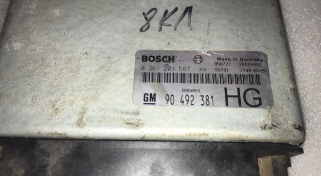 OPEL 90492381 в наличии Ирпень