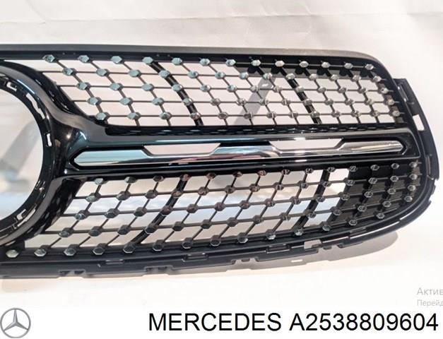 MERCEDES A2538809604 в наличии Каменское