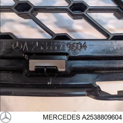 MERCEDES A2538809604 в наличии Ужгород