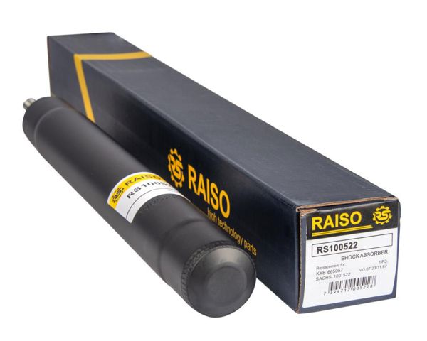 RAISO RS100522 Амортизатор передний в наличии Черновцы