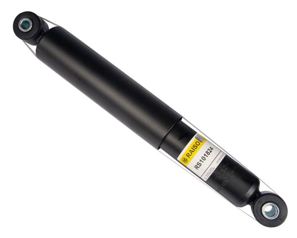 RAISO RS101824 Амортизатор задний в наличии Черкассы